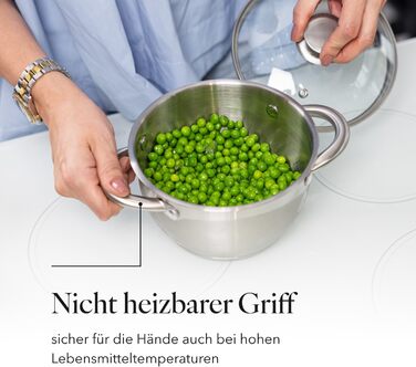 Набір посуду FLORINA 4 предмети Нержавіюча сталь 18/0 Кришка із загартованого скла Для індукційних, газових, електричних та керамічних варильних поверхонь Можна мити в посудомийній машині Високоякісний набір посуду для кожної кухні (8 предметів, Henry)