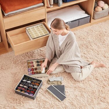 Набір з 2 органайзерів для шкарпеток і спідньої білизни, сірий Lifewit