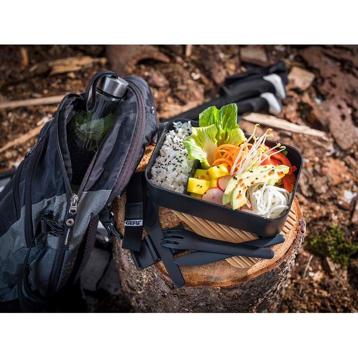 Ланч-бокс пластиковий 1л Enviro Gefu