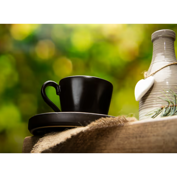 Чашка для чаю 0,21 л з блюдцем 16,2 см 560673995273