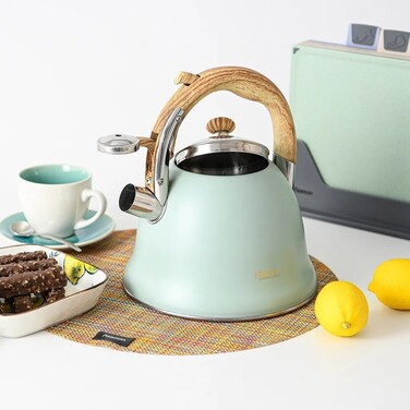 Чайник для кипячения воды Fissman AZURA 3 л нержавеющая сталь (5964)