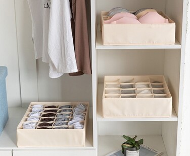 Коробка-органайзер для зберігання нижньої білизни, на 16 комірок Vialex