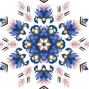 Дифузор для автівки Maison Berger Paris CAR WHEEL з ароматом LILIFLORA