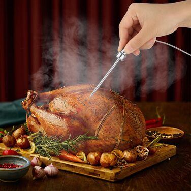 Набор из 4 датчиков для термометра EasyBBQ