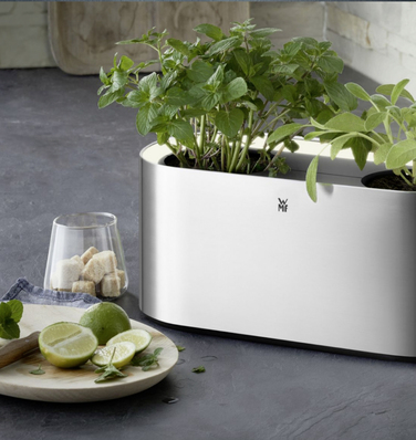 Колекція Ambient от WMF