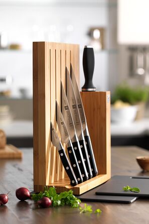 Набір з 5 ножів з підставкою Pro Zwilling
