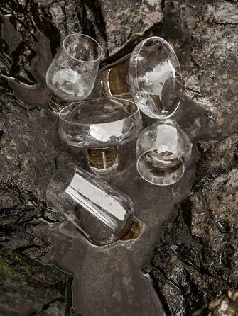 Бокал для просекко 200 мл Koyoi Blomus