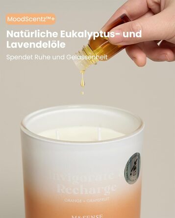 Ароматичні свічки M&SENSE Сосна та кедр у банці, велика соєва свічка 400 г з двома гнітами, час горіння 80 годин, ароматерапевтична свічка для йоги, спа та медитації. Подарунок для дівчини, дружини або матері. Сосна та кедр (апельсин та грейпфрут)