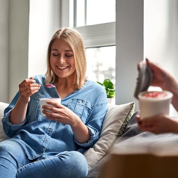 Набір з 2 контейнерів для морозива 1 л, контейнери для зберігання, морозильні банки, контейнери для льоду без бісфенолу А харчового класу (сірий міні-набір з 4 шт. )