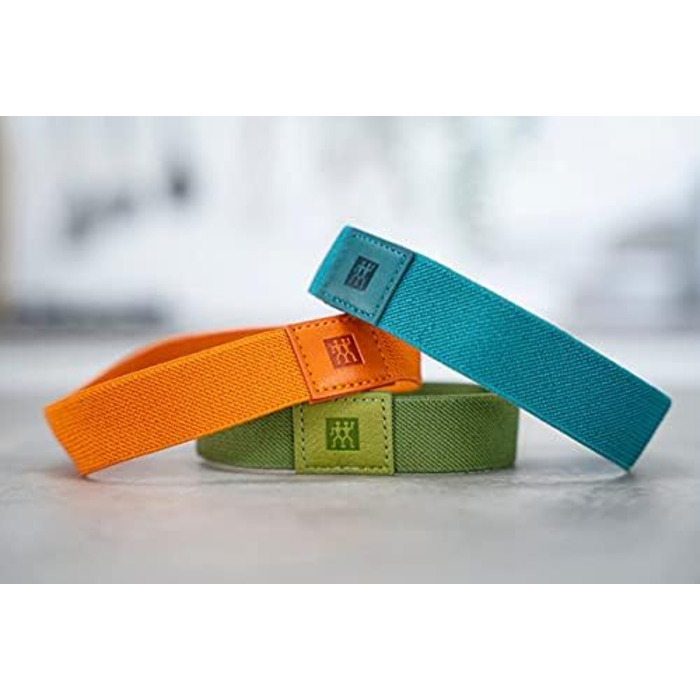 Эластичные ленты для лач-боксов, 3 шт. разноцветные Dino Zwilling