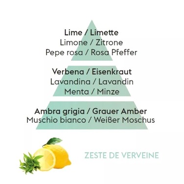 Дифузор Maison Berger Paris ICE CUBE з ароматом ZEST OF VERBENA, 100 мл