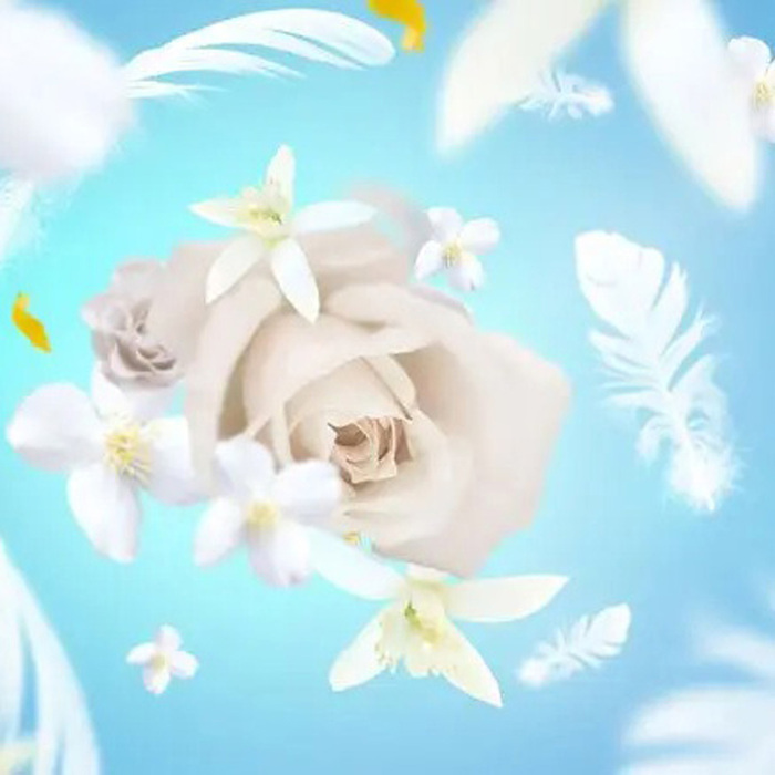 Аромат для лампи Maison Berger Paris DELICATE WHITE MUSK, 500 мл