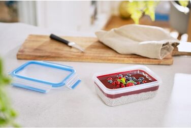 Набір контейнерів для зберігання продуктів EMSA Clip & Close, прямокутні, 5 x 0,8 л, коробки для зберігання, 100 герметичні, придатні для миття в посудомийній машині, морозильної камери та мікрохвильової печі, прозорі, сині, зроблені в Німеччині, N10307 (