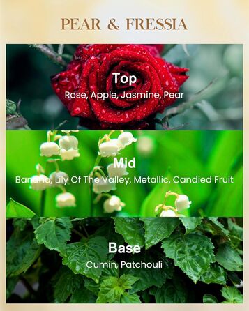 Ароматична свічка M&SENSE надзвичайно велика, час горіння 150 годин, натуральна ароматерапевтична свічка з 3 гнітами, сильний аромат, тривале горіння, подарункова свічка та прикраса для дому, подарунки для жінок (990 г, груша фрезія)