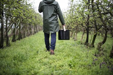 Кастрюля с фланцем 20 см, 4 литра, без крышки,  Riess