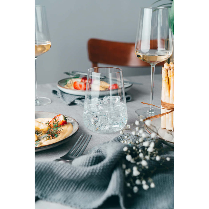 Стакан для воды 0,485 л Vervino Schott Zwiesel