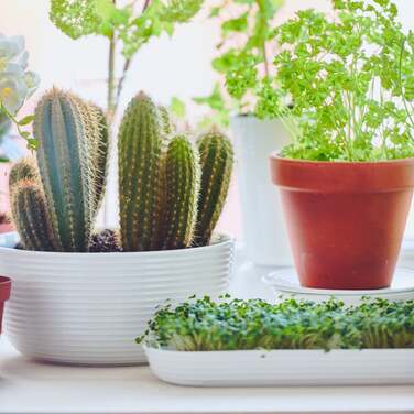 Чаша 21 см, біла ONO Weiß Thomas