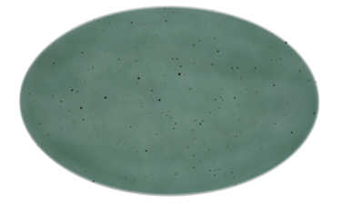 Блюдо овальне 40 х 25.5 см Country Life Petrol Coup Fine Dining Seltmann