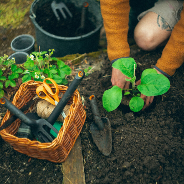 Ножиці Fiskars Classic універсальні 21 см (1075031)