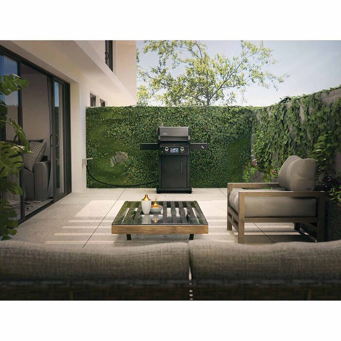 Електричний гриль Napoleon Rogue EQ 365 REQ365MK-CE Код: 013226