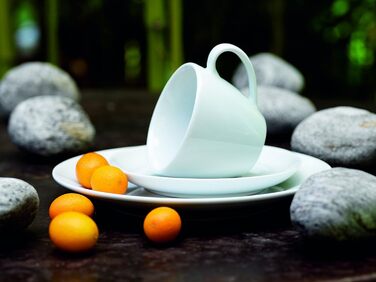 Серия Alesia, фарфоровый комбинированный сервиз 62 предмета, базовая посуда на 6 персон, идеальный стартовый набор, белый