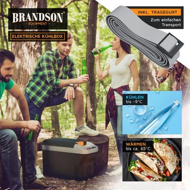 Електричний холодильник-бокс 10 л - напруга мережі 230 В та напруга автомобіля 12 В - охолоджує та нагріває - нагрівання макс. 65C - охолодження приблизно на 20C нижче температури навколишнього середовища - Холодно-сірий (тип 2)