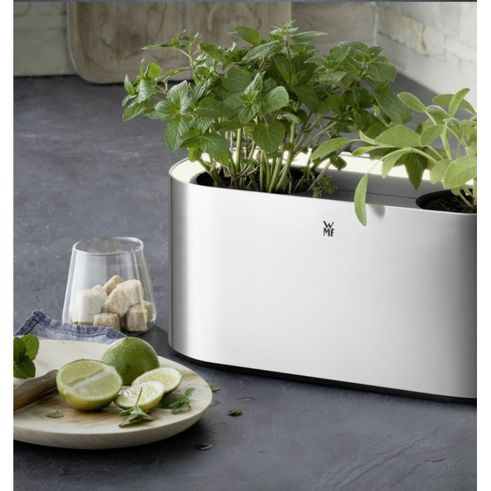 Колекція Ambient от WMF