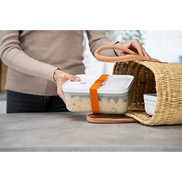 Эластичные ленты для лач-боксов, 3 шт. разноцветные Dino Zwilling