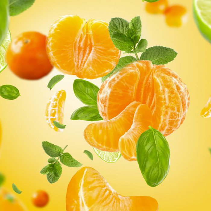 Дифузор для автомобіля Maison Berger Paris з ароматом SAVORY TANGERINE