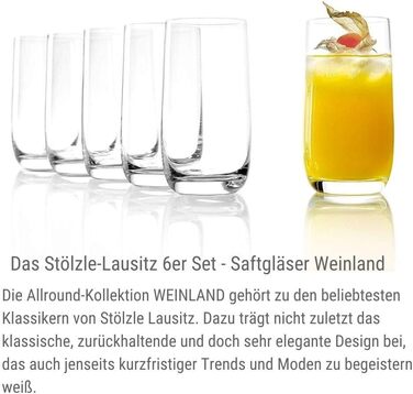 Набір склянок для соку 315 мл, 6 предметів, Weinland Stölzle Lausitz