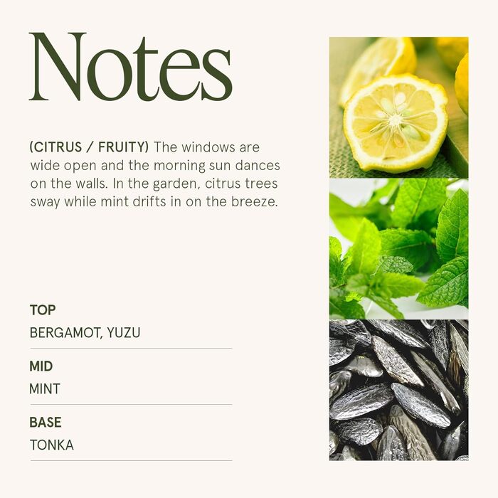 Ароматна свічка La Jole Muse у скляній свічці, подарунок для жінок, ароматичні свічки з сандаловим деревом для дому, час горіння 55 годин, 170 г. (Menta Al Limone)