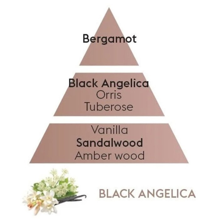 Дифузор для автівки Maison Berger Paris з ароматом BLACK ANGELICA