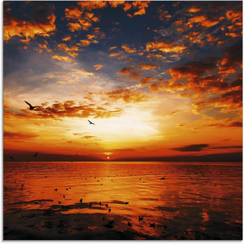 розмір: 30д x 30в см