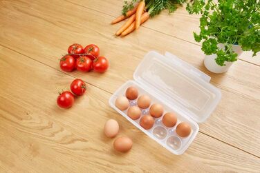 Набір контейнерів для зберігання продуктів EMSA Clip & Close, прямокутні, 5 x 0,8 л, коробки для зберігання, 100 герметичні, придатні для миття в посудомийній машині, морозильної камери та мікрохвильової печі, прозорі, сині, зроблені в Німеччині, N10307 (