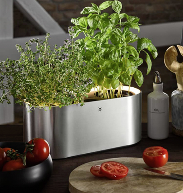 Колекція Ambient от WMF