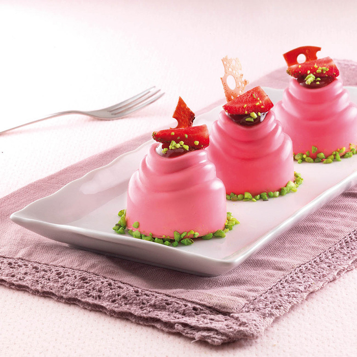 SF113/C Форма из резины