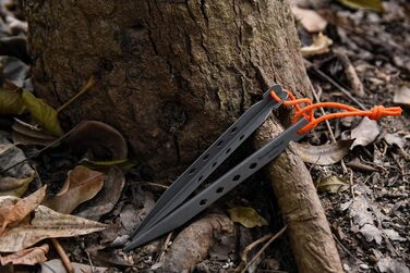 Цвяхи для кемпінгового намету 8 шт. Ti4007P iBasingo