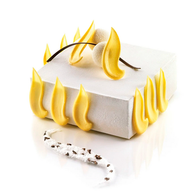 TOR120x120 H50/1 Форма силіконова