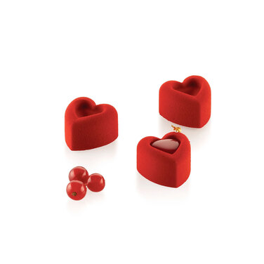 SF089/C Форма из резины