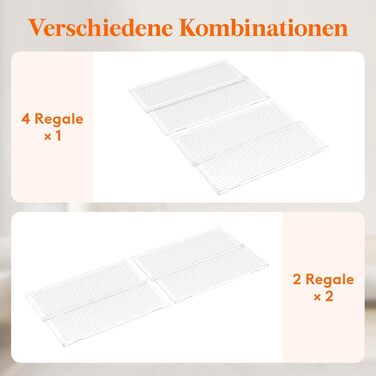 Органайзер для спецій пластиковий розсувний, 41,9 x 40 x 3,7 см, прозорий Lifewit